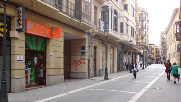 Campos de Aloe en la céntrica Calle de San Torcuato